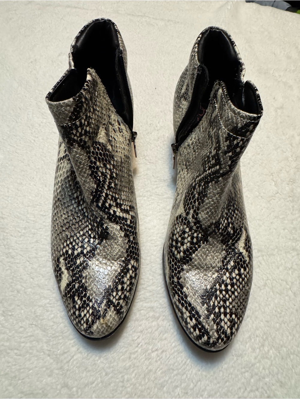 Blondo Snake-Print Ankle Boots - Black & Cream